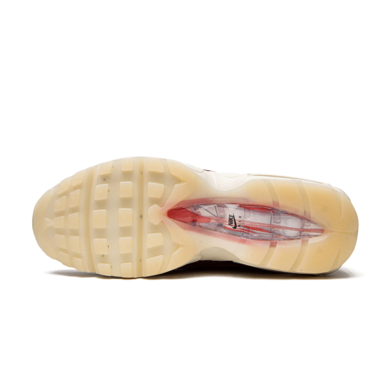 Nike Air Max 95 - Anatomy of Air